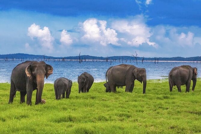 Kaudulla National Park
