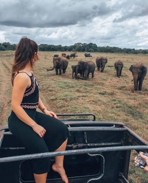 Kaudulla National Park