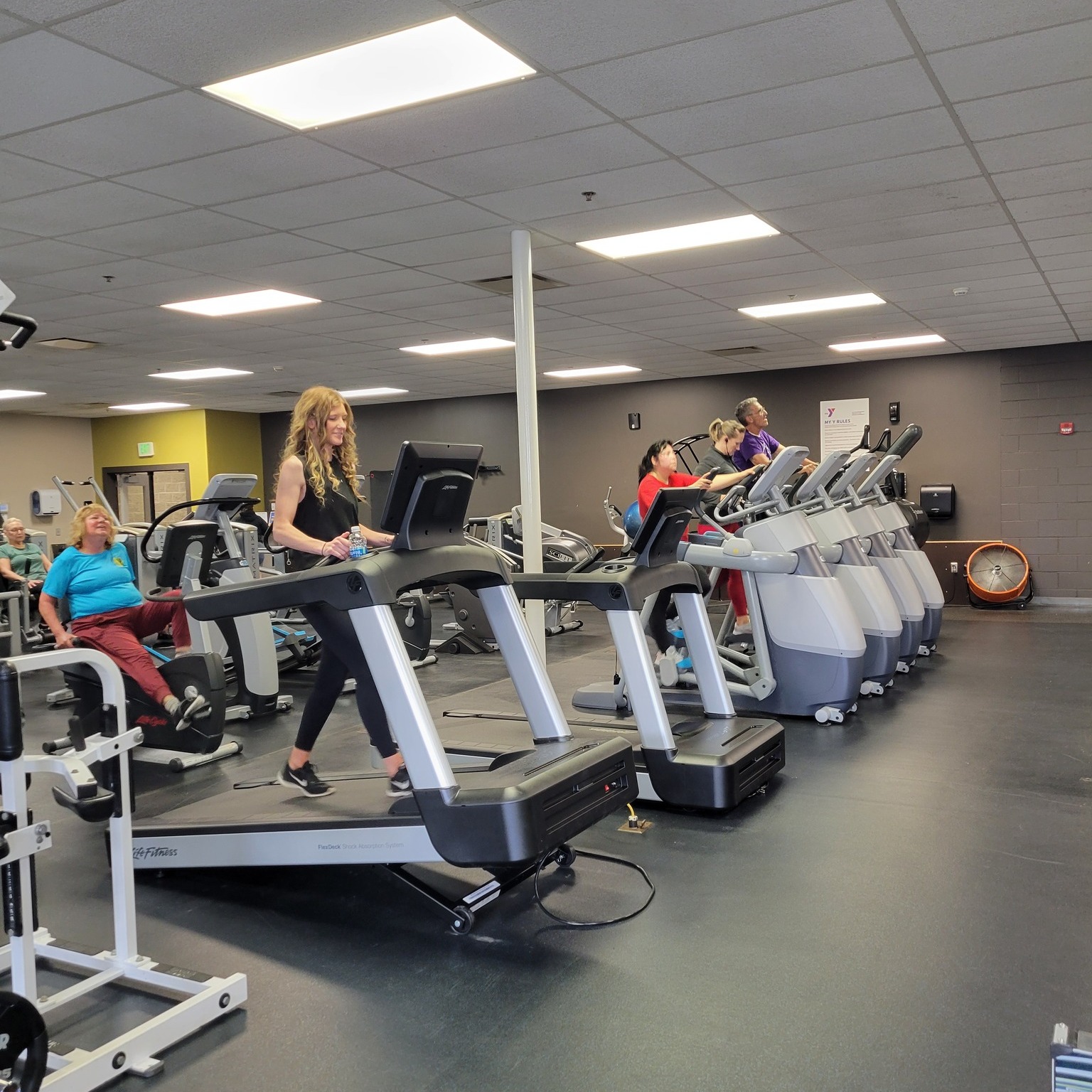 Adult Fitness