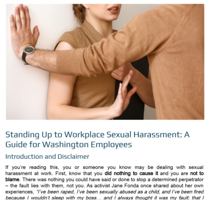 Synergistic Law Flipbook Cover