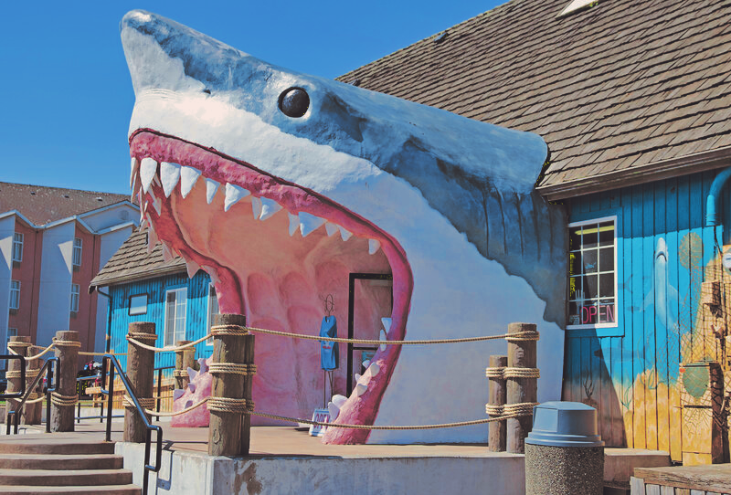Sharky's Gift Shop