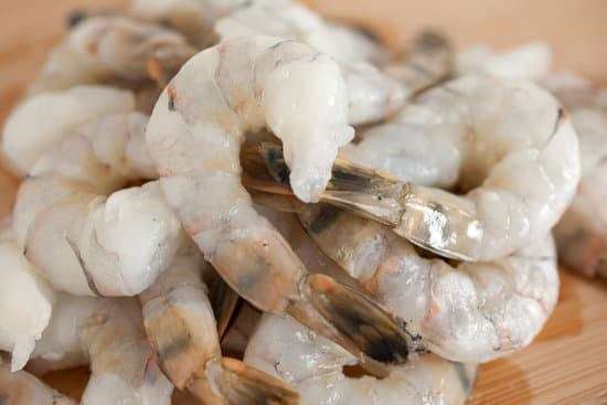 Shrimps
