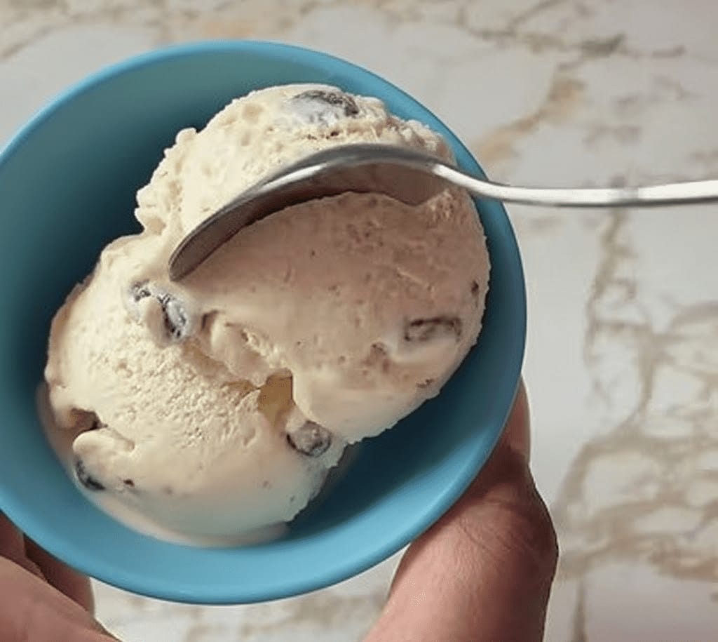 Caribbean rum and raisin ice cream