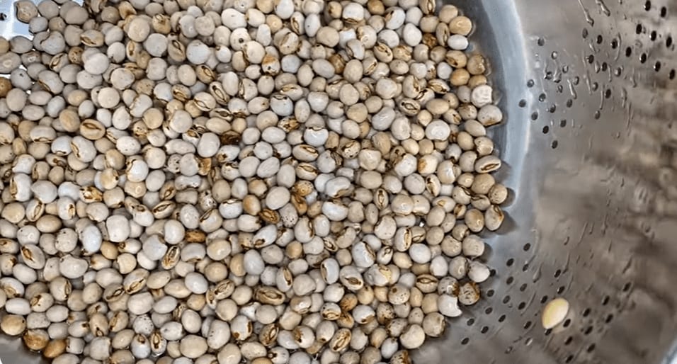 pigeon peas