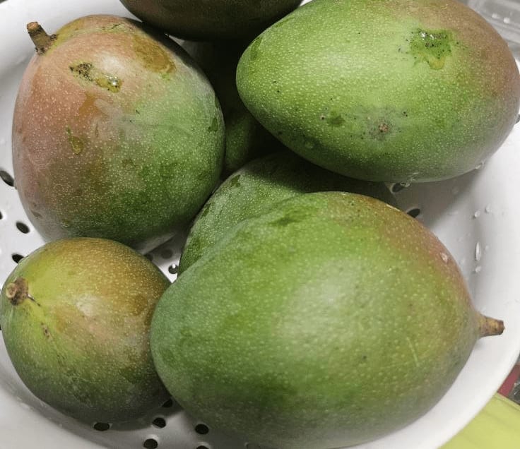 green mangoes