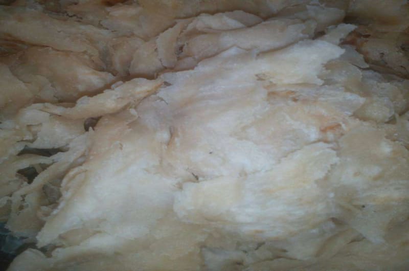 Guyanese Soft Roti (Oil Roti) Recipe