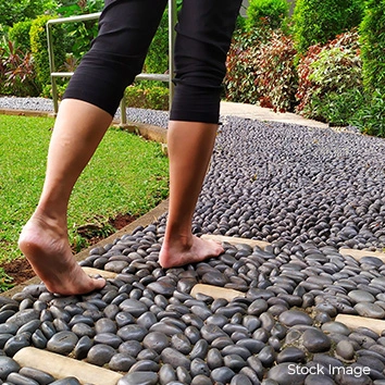 Reflexology Path