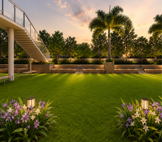 Multi-Purpose Lawn
