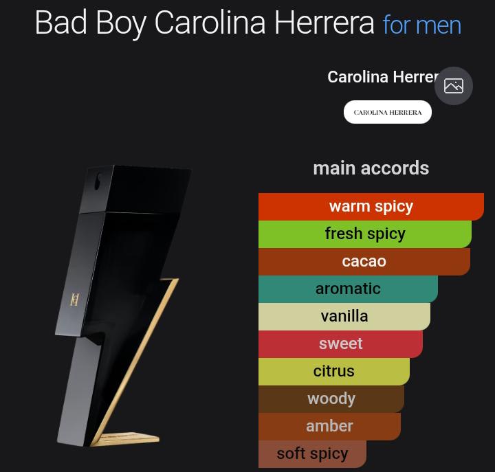 DESIGNER PERFUME OIL VERSION of Bad boy Carolina Herrera
