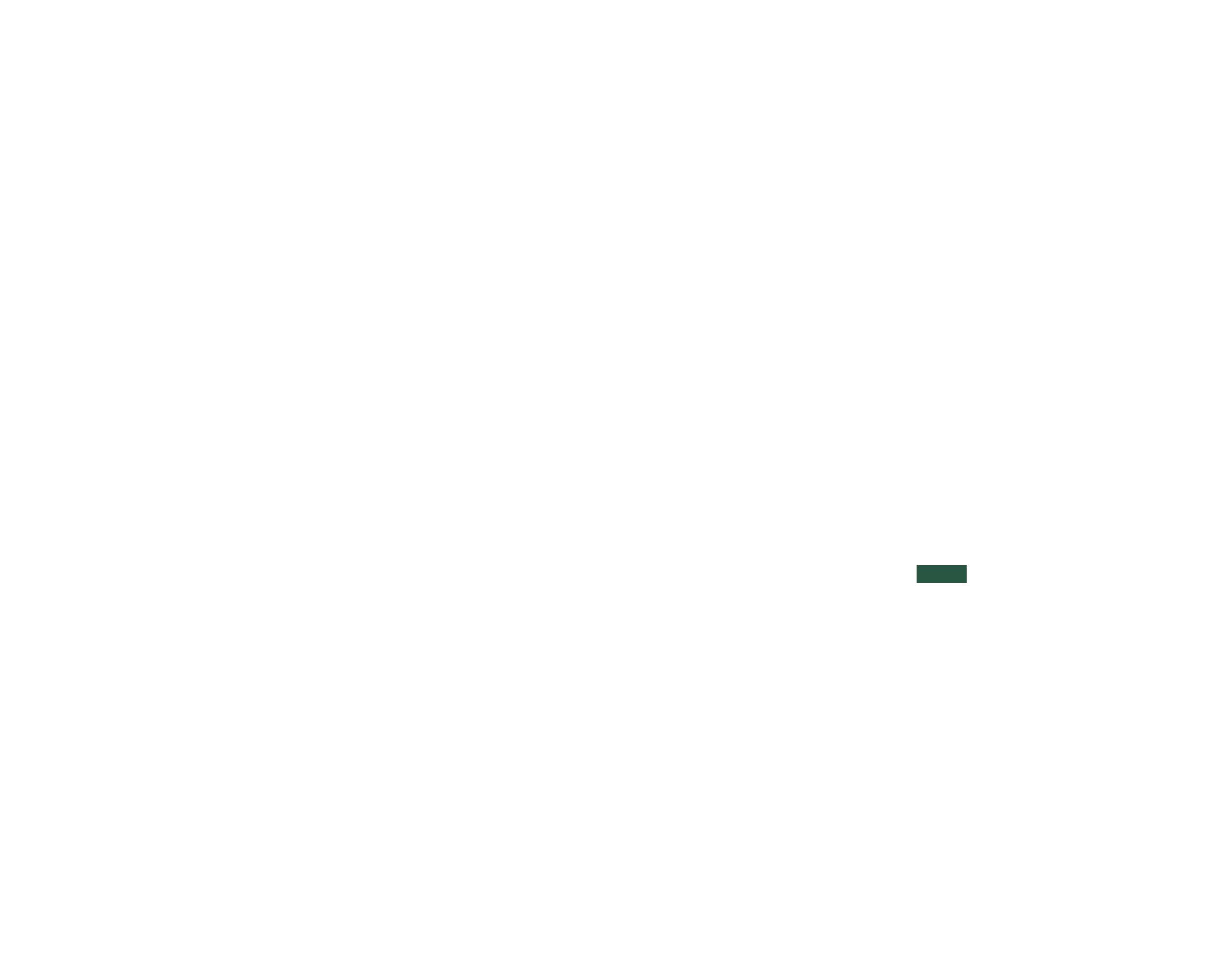 New York Jets Attempt To Take Flight With New Visual Identity