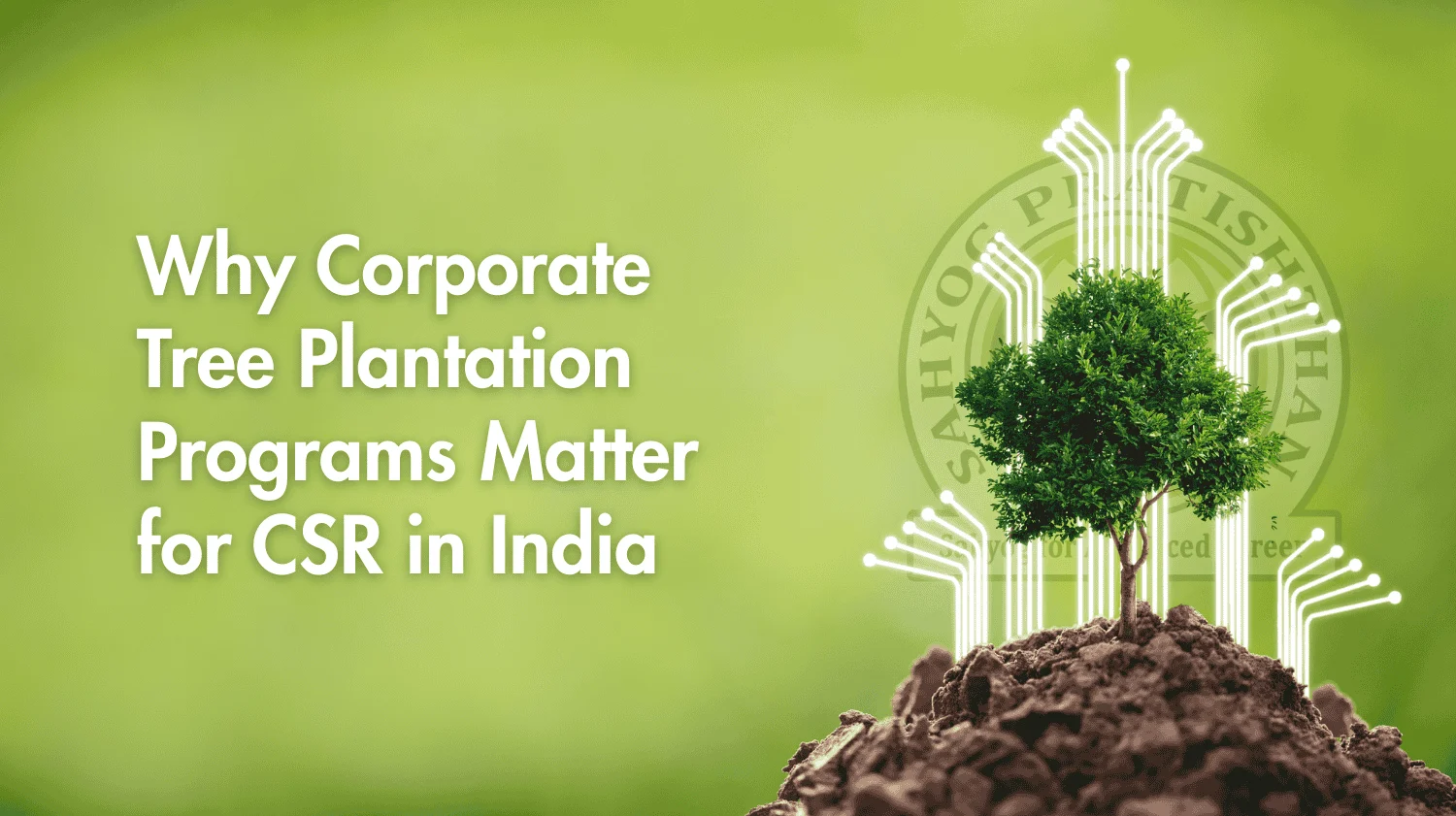 Why Corporate Tree Plantation Programs Matter for CSR in India - Sahyog ...