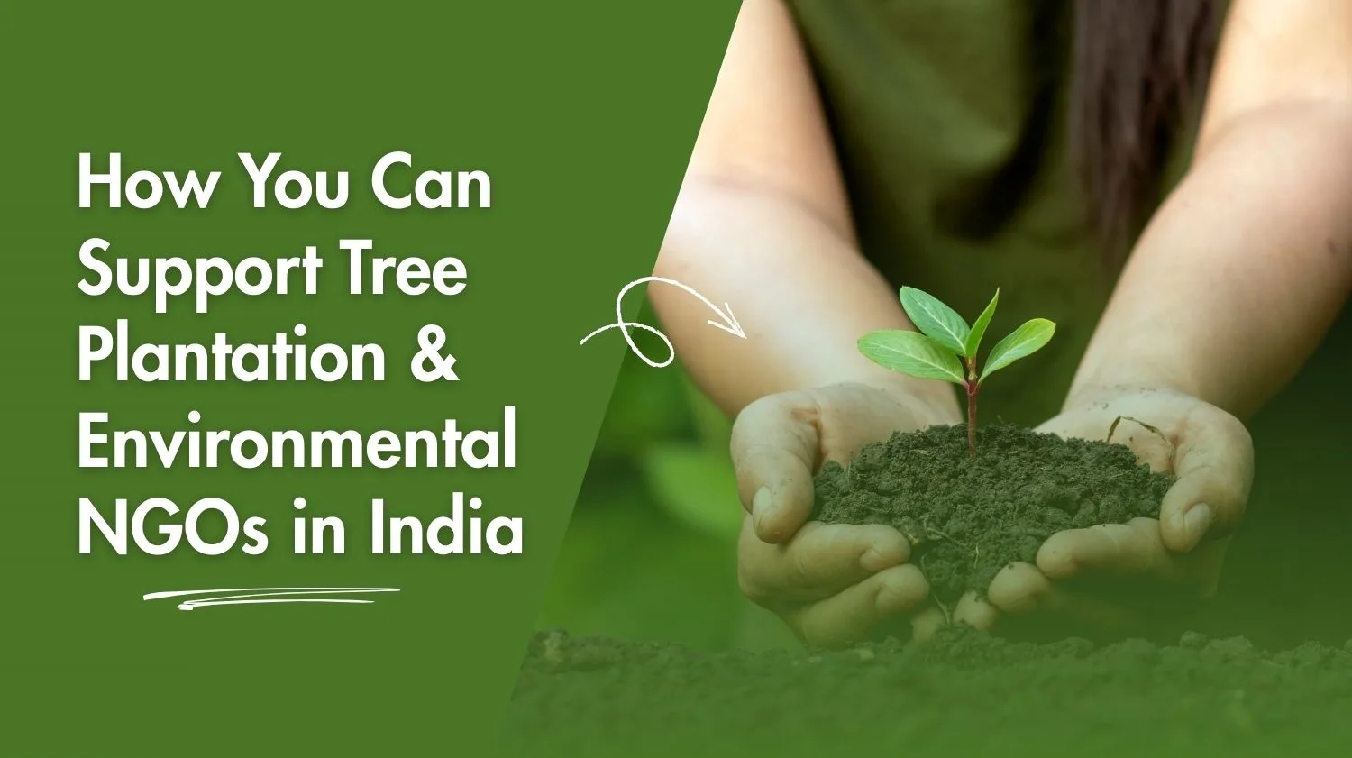 How You Can Support Tree Plantation & Environmental NGOs in India - Sahyog Pratishthan NGO