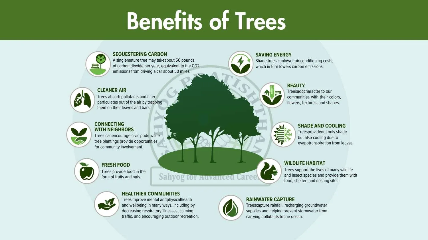 Benefits of Tree Plantation in India | Why Planting Trees is Important ...