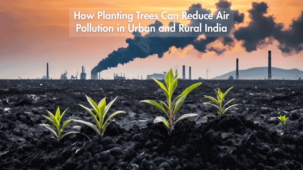 How Planting Trees Can Reduce Air Pollution in Urban and Rural India - Sahyog Pratishthan NGO