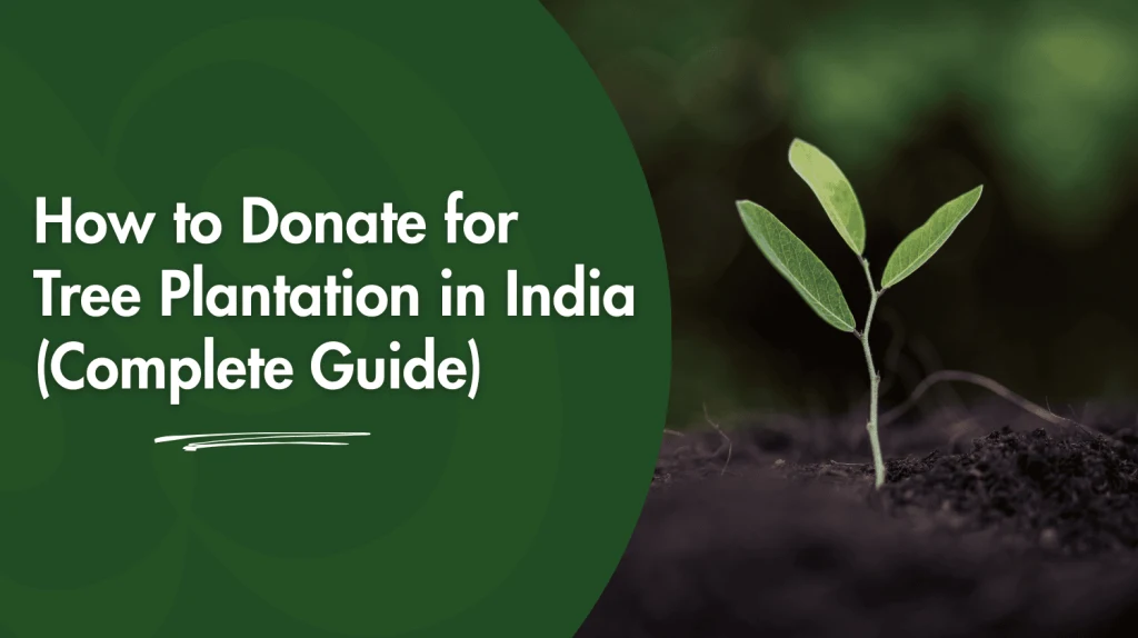 Donate for Tree Plantation in India