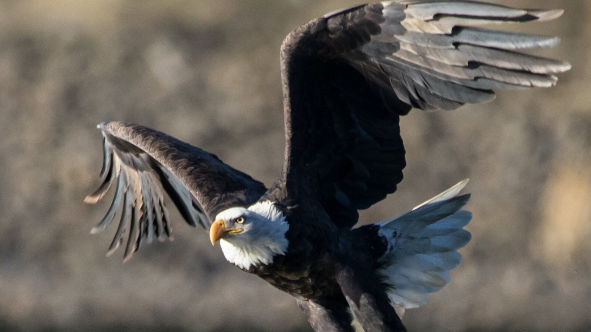  Set Free Alaska - Mat-Su