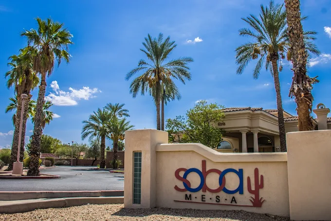 Soba Mesa Drug Rehab Detox and Addiction Recovery