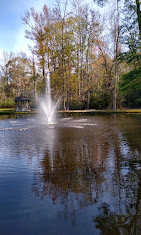 Ace Recovery for Men (ARM) — addiction treatment center listing photo
