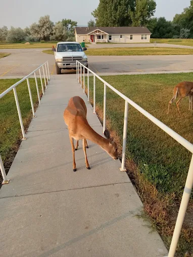 Rehab center image 1