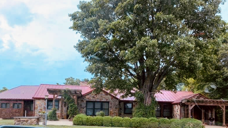 Learn to Live Recovery