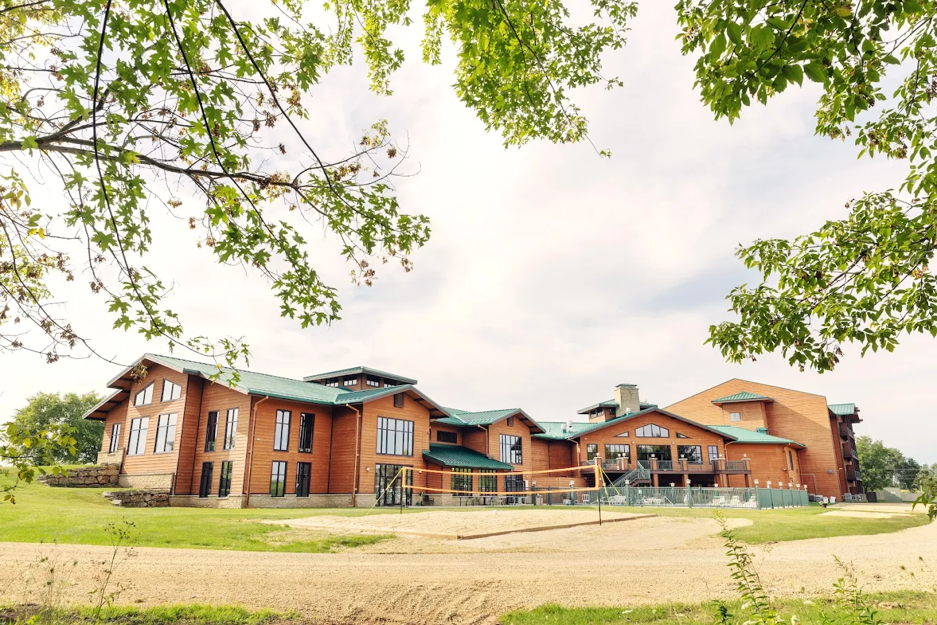 Wood Violet Recovery