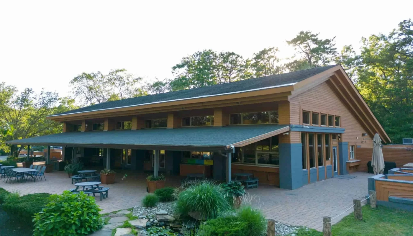 Enlightened Recovery