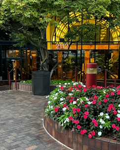 Rehab center image 1