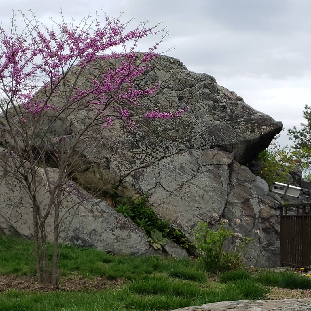 St. Christopher's Inn — addiction treatment center listing photo
