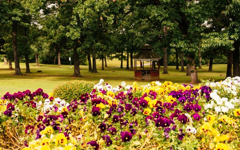 Valley Behavioral Health System