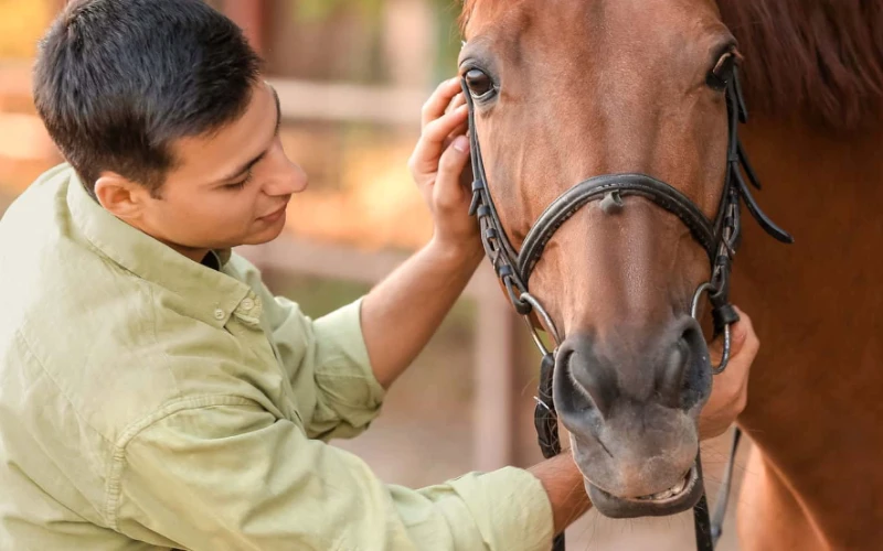 Eagle Creek Ranch Recovery for Men — addiction treatment center listing photo