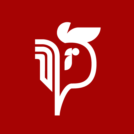 Pyzata Chata logo