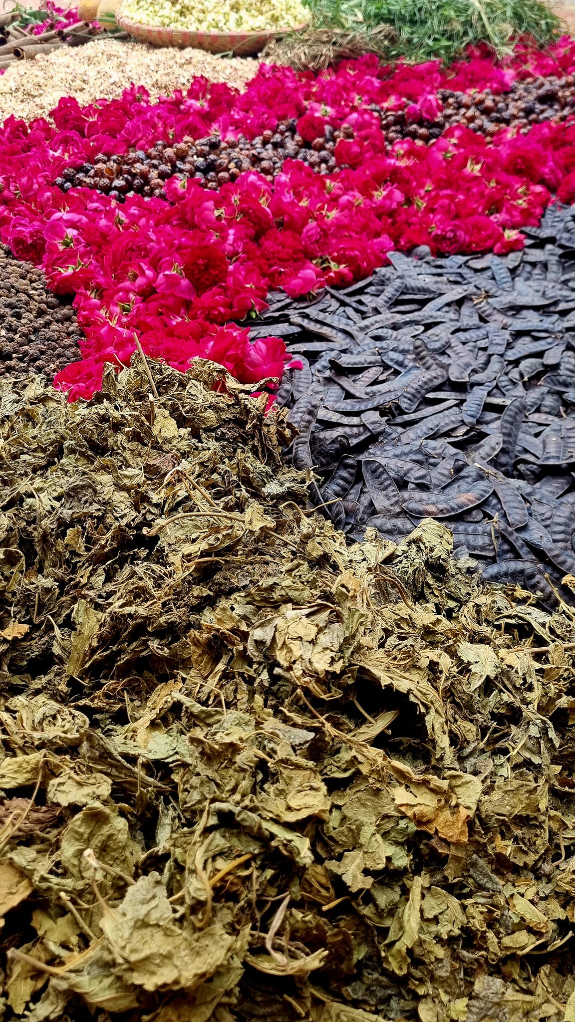 Cao gội Hoa hồng 2 in 1 (Gội&Xả) 4