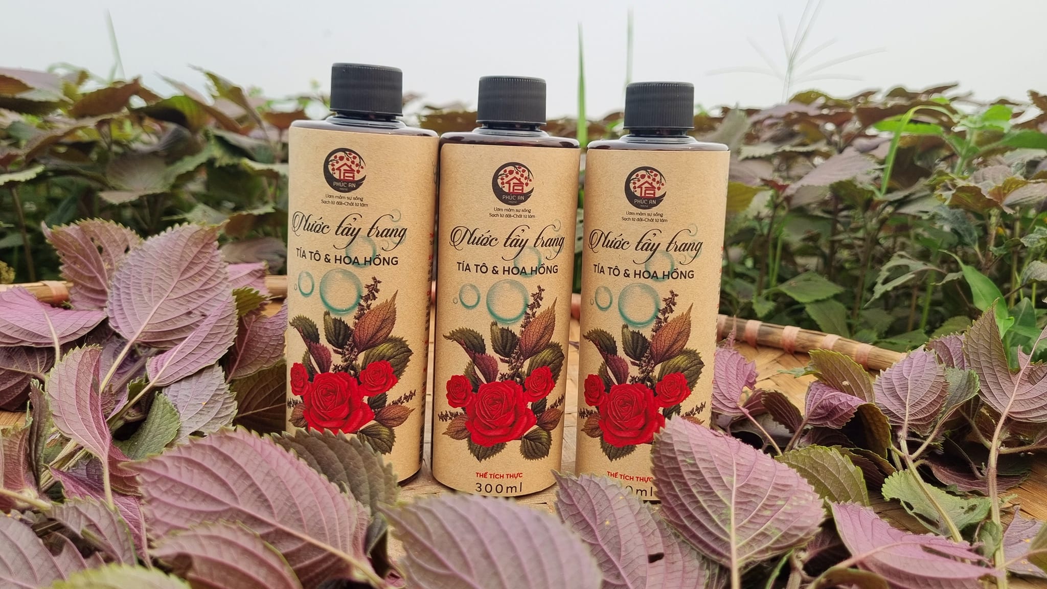 Nước tẩy trang Tía tô & Hoa hồng 2