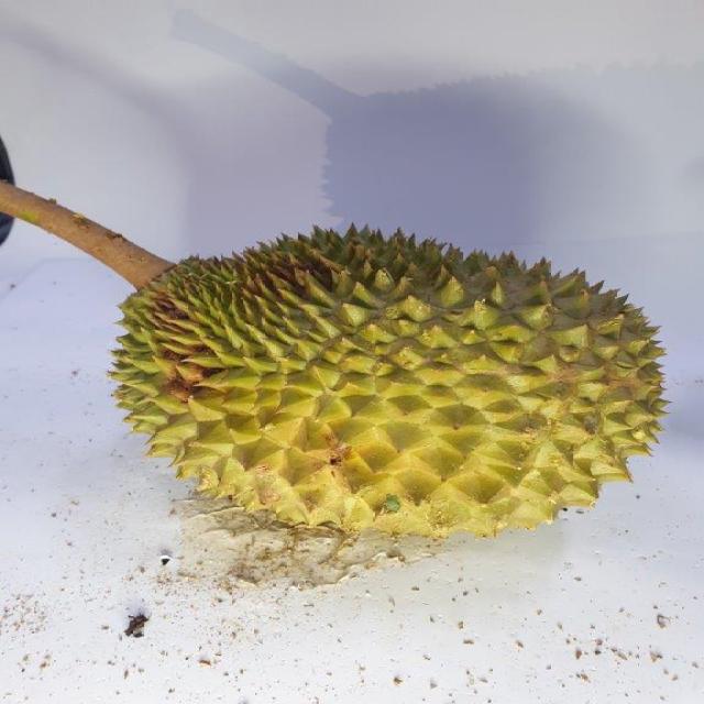 XỊT DƯỠNG CHUYÊN SÂU 8