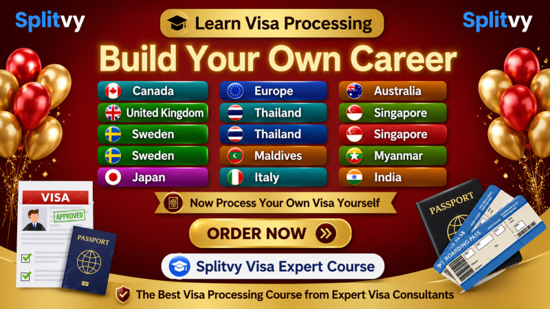 Only $2.08 USD for the “Visa Expert Course” with lifetime access.