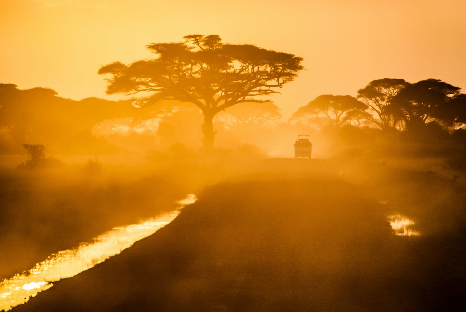 An open safari vehicle on the African savanna at golden hour, surrounded by dry grass and acacia trees