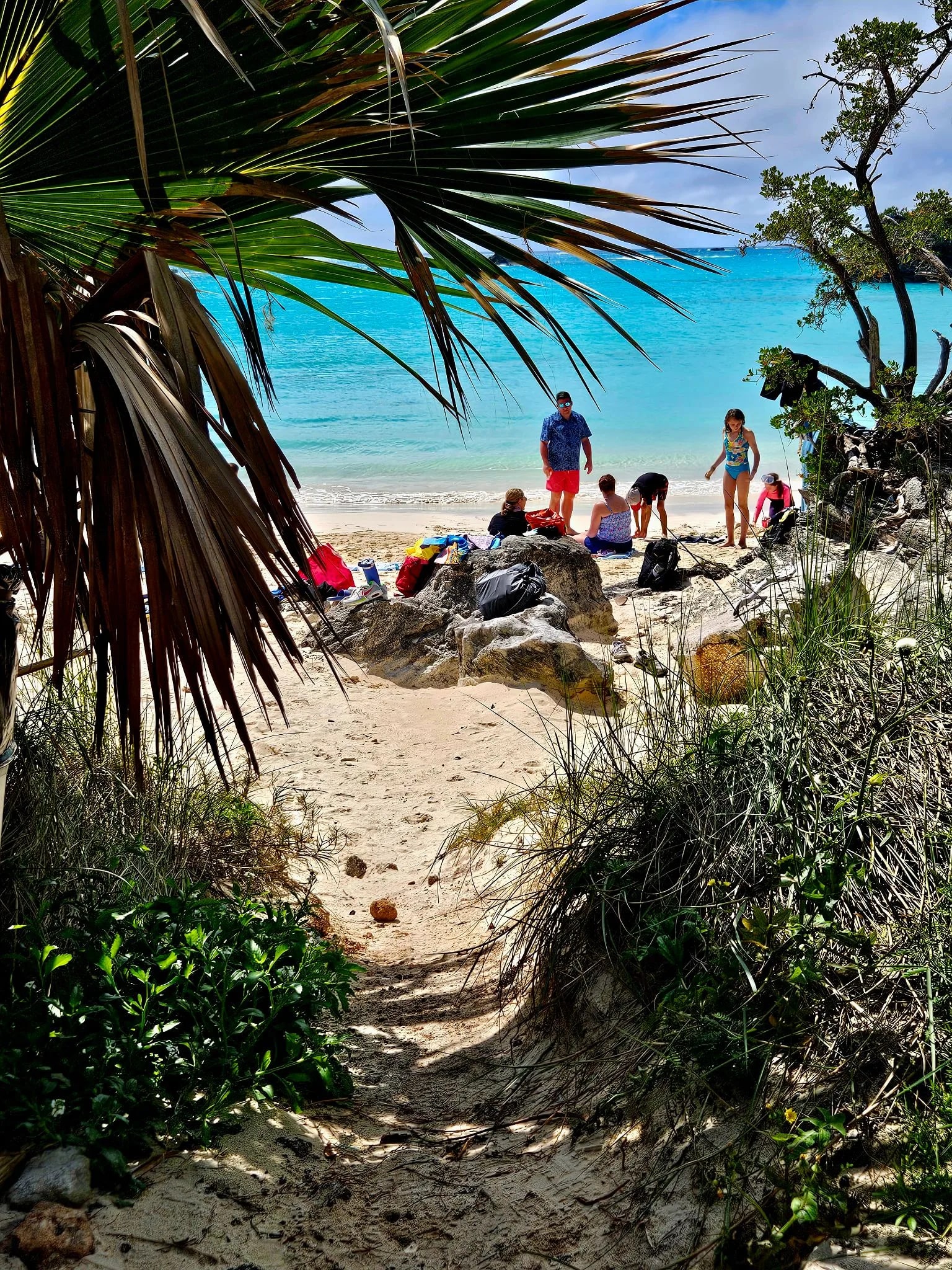 Pink sand beach in Bermuda