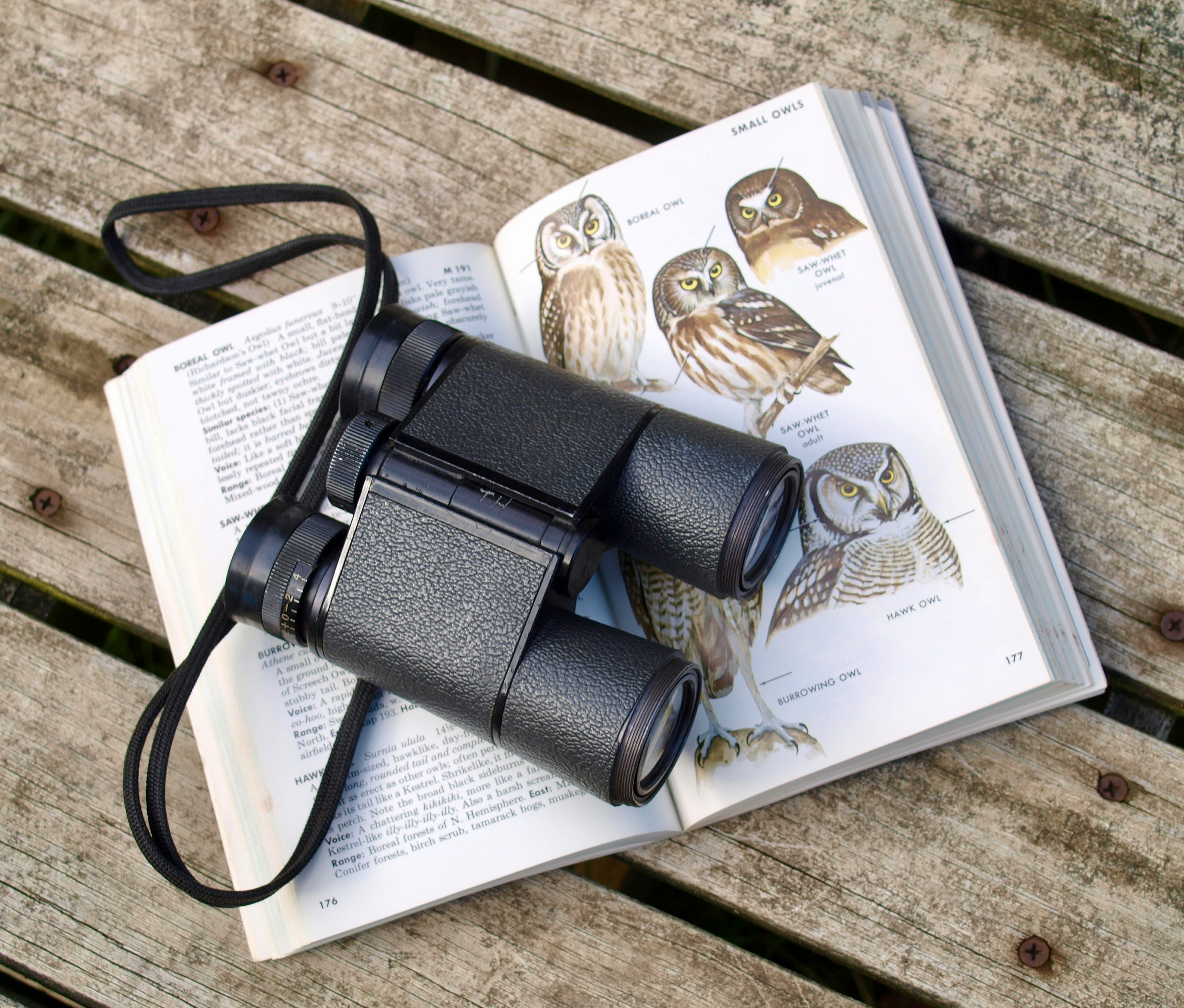 Binoculars resting on an open field guide showing illustrated owls