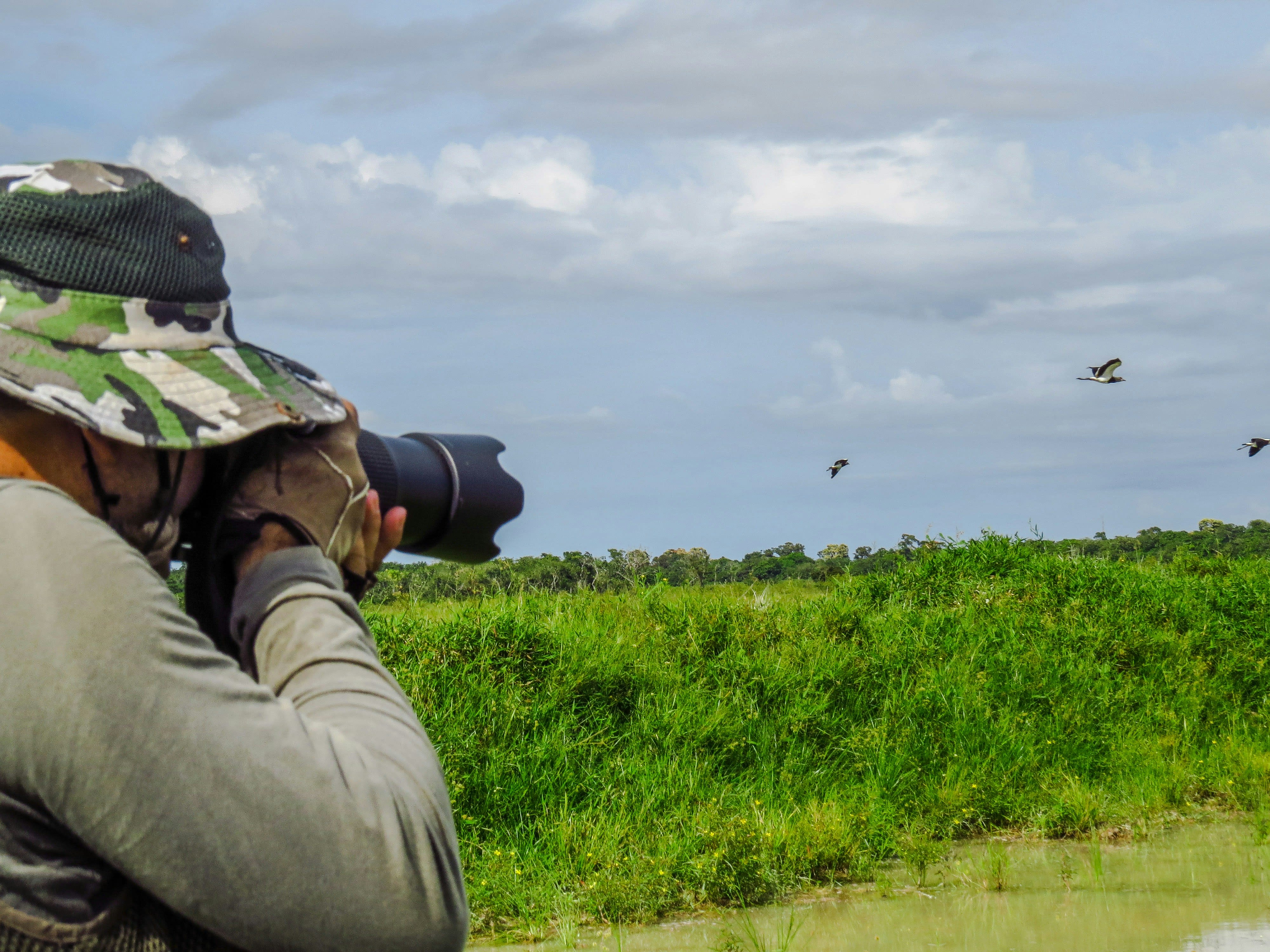 Wildlife photographer with telephoto lens tracking birds in flight over tropical wetlands