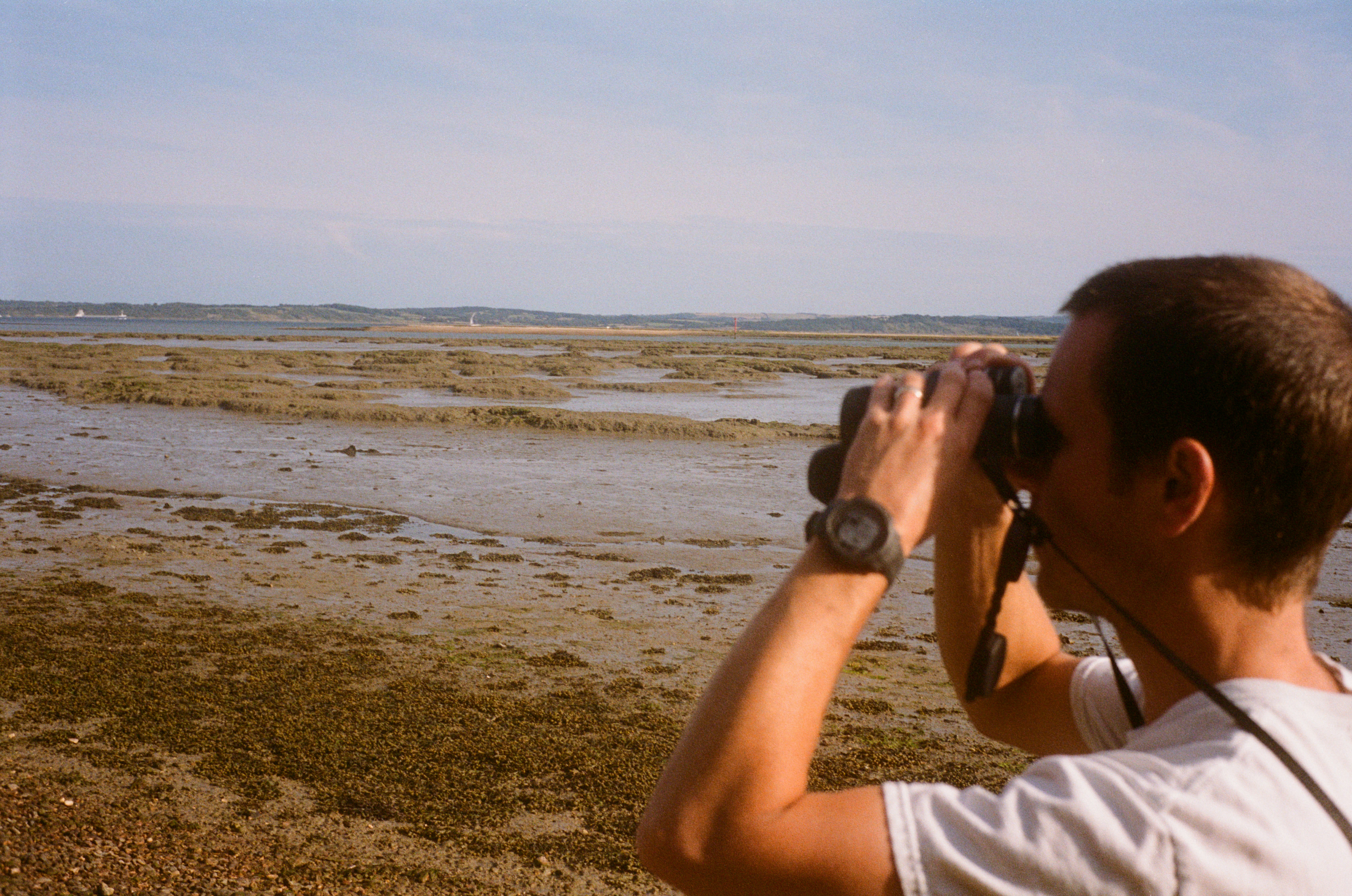 Birder scanning tidal flats with binoculars at a coastal shorebird site