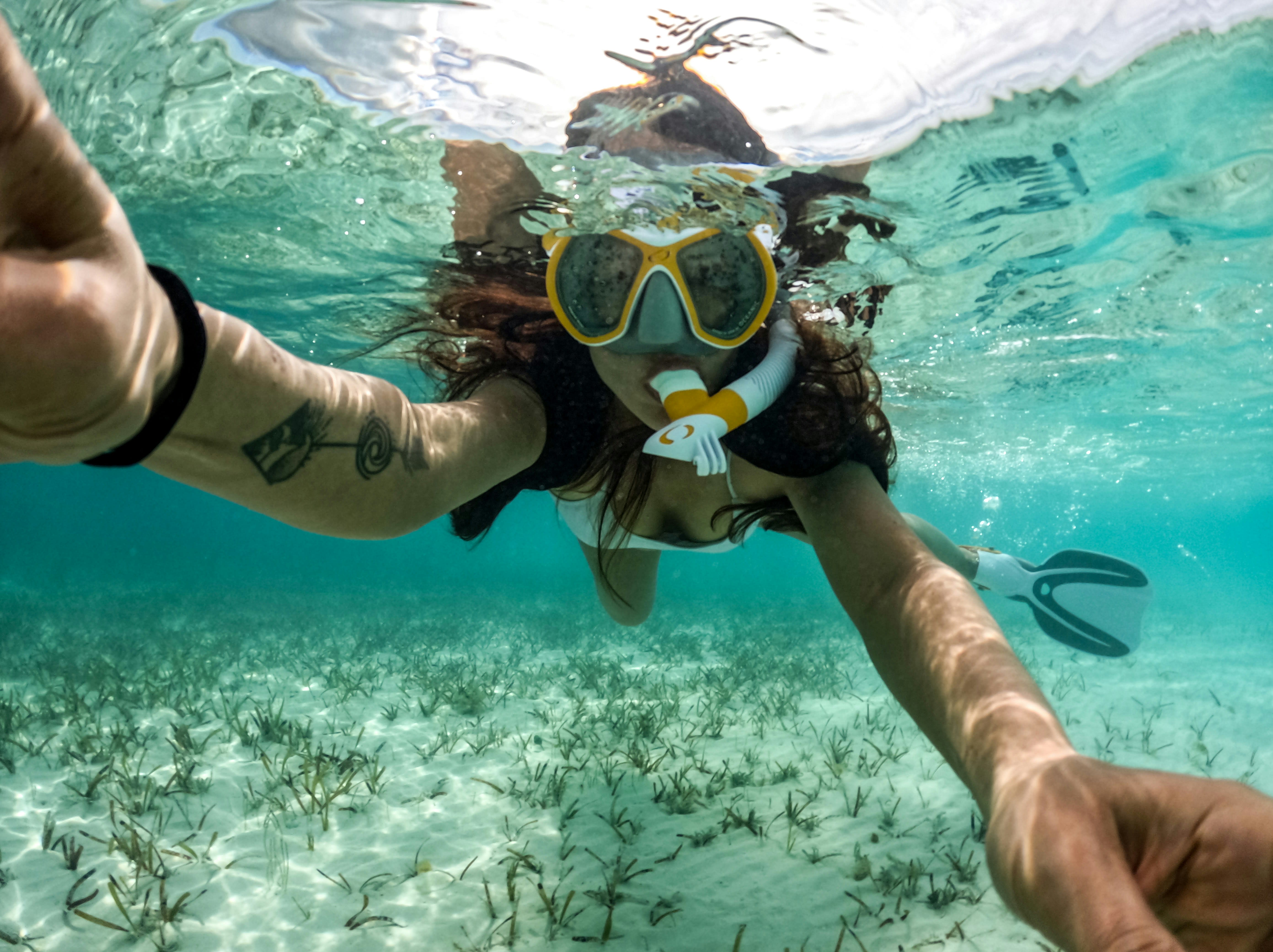 Snorkelers exploring crystal-clear Galapagos waters alongside tropical fish and sea life