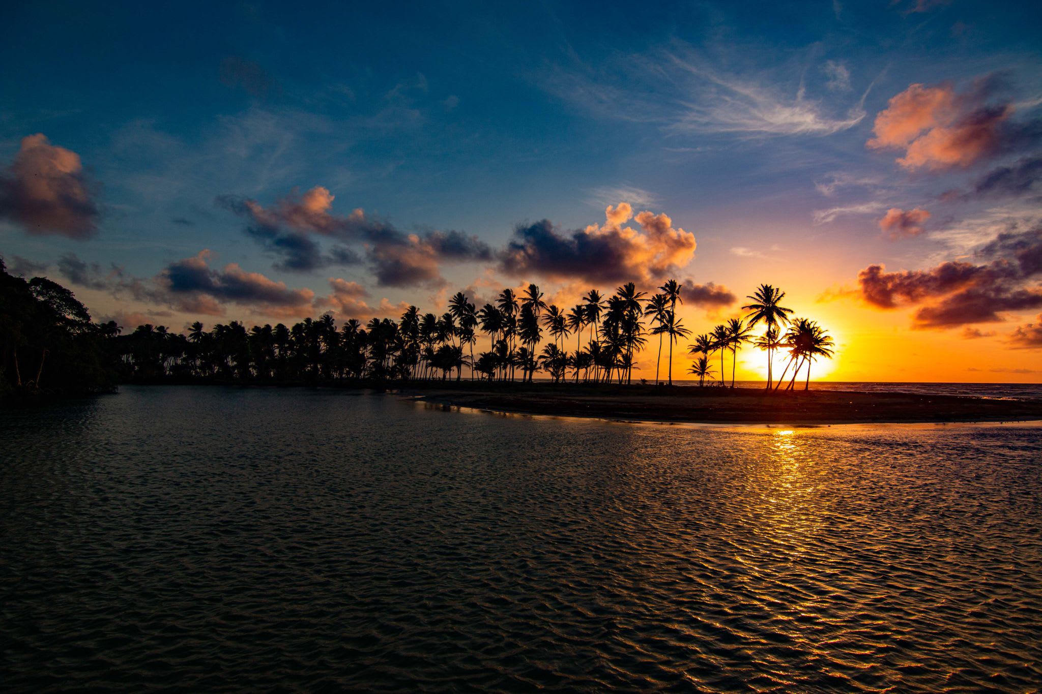 Tropical palm trees silhouetted against a golden sunset sky