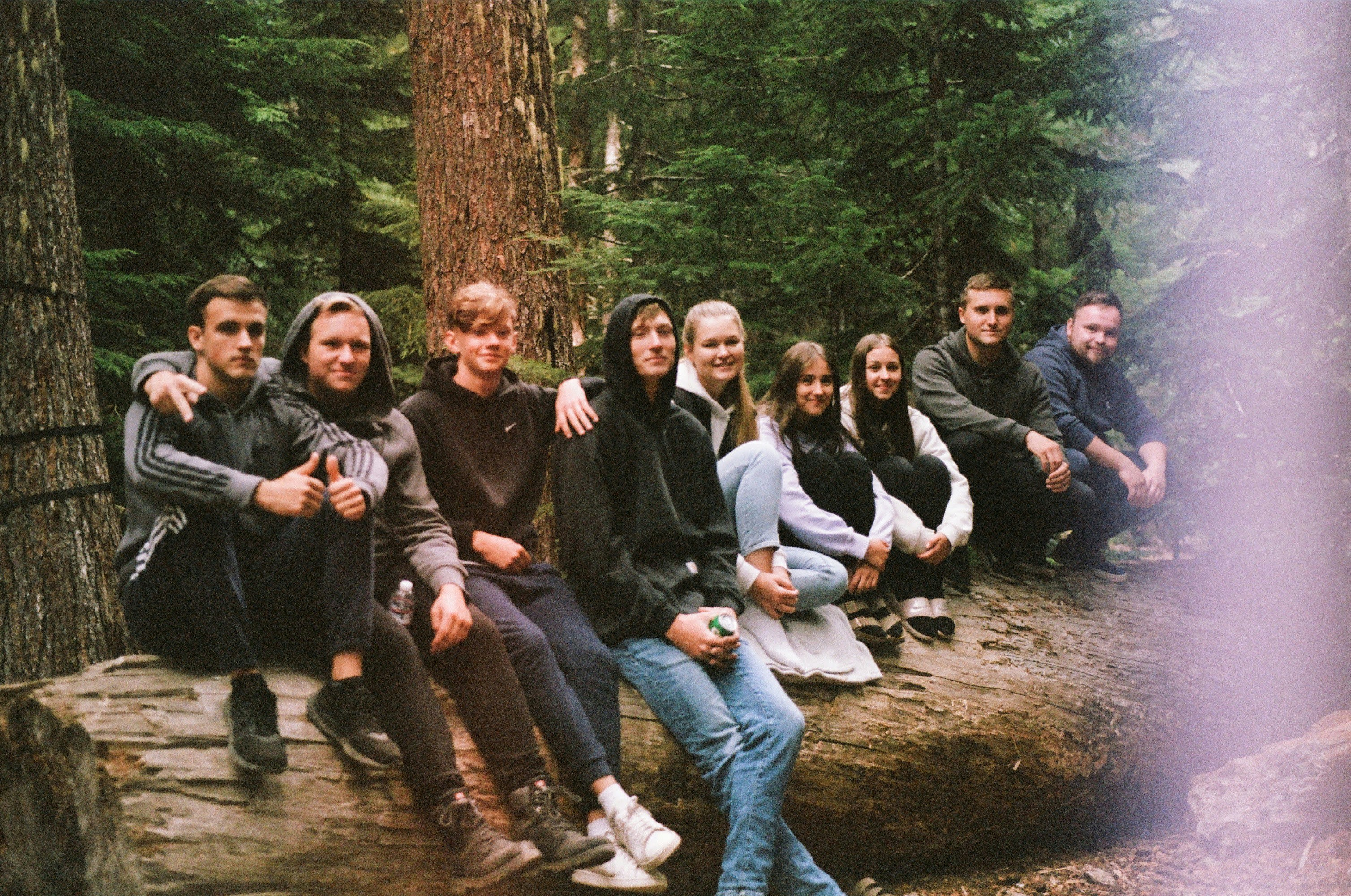Group of friends sitting together on a log in the forest