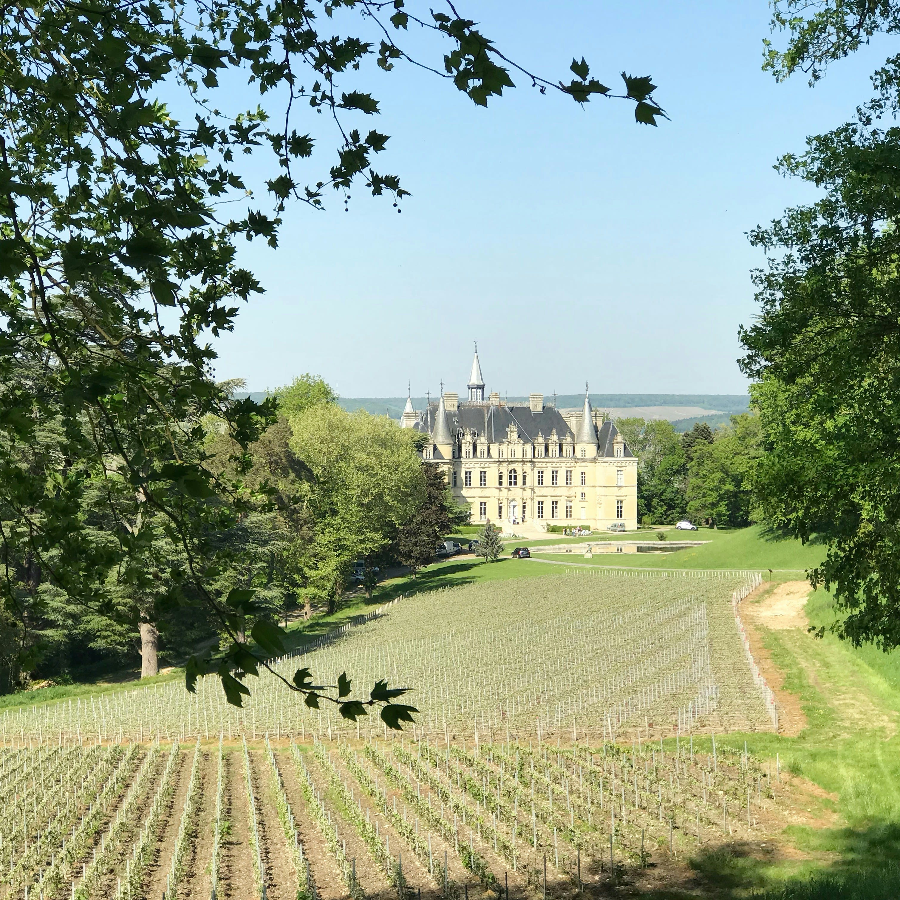 French chateau with vineyard foreground in the Loire Valley