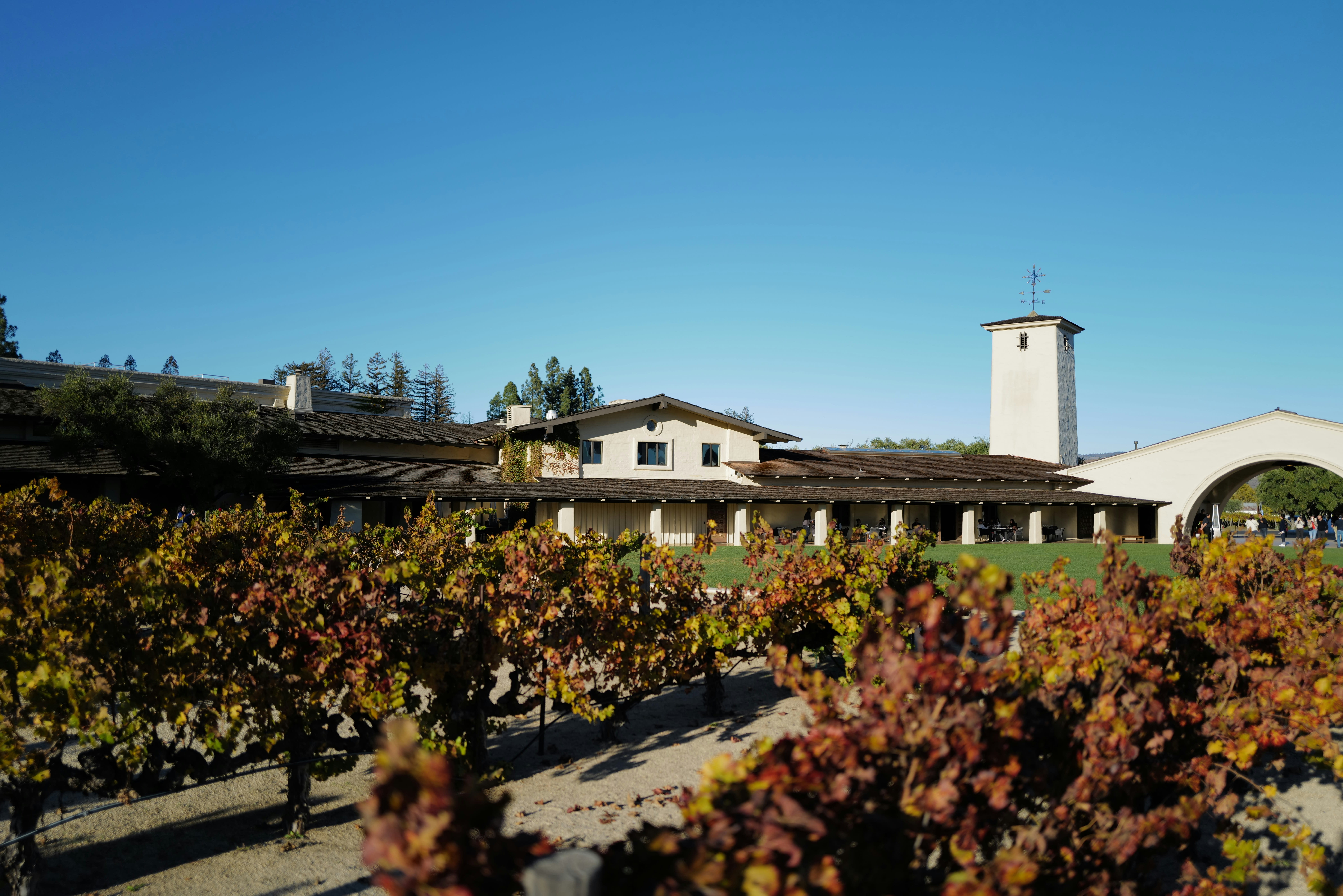 Napa Valley winery building surrounded by autumn vines
