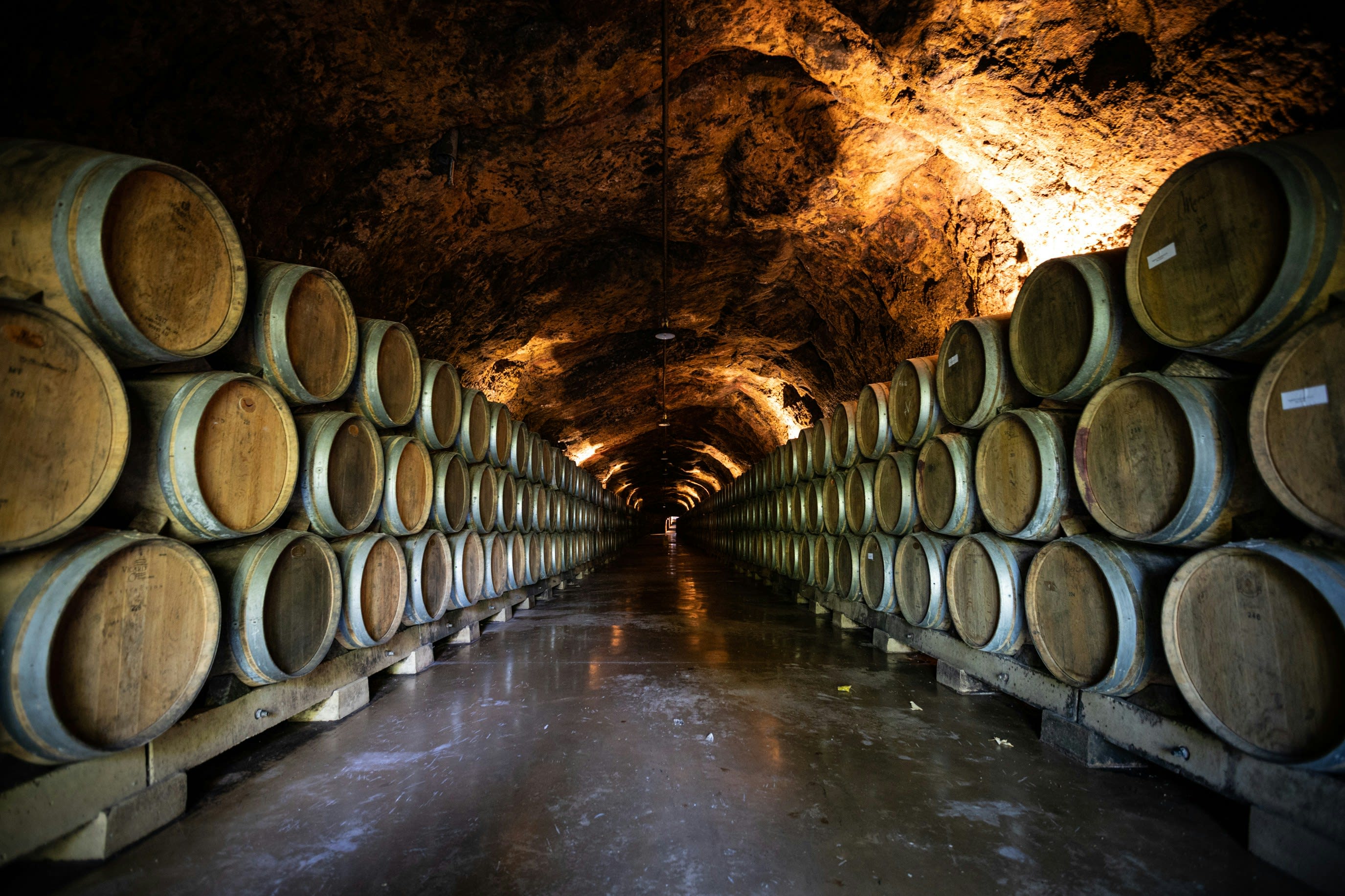 Dramatic cave cellar with rows of oak barrels lit in amber light