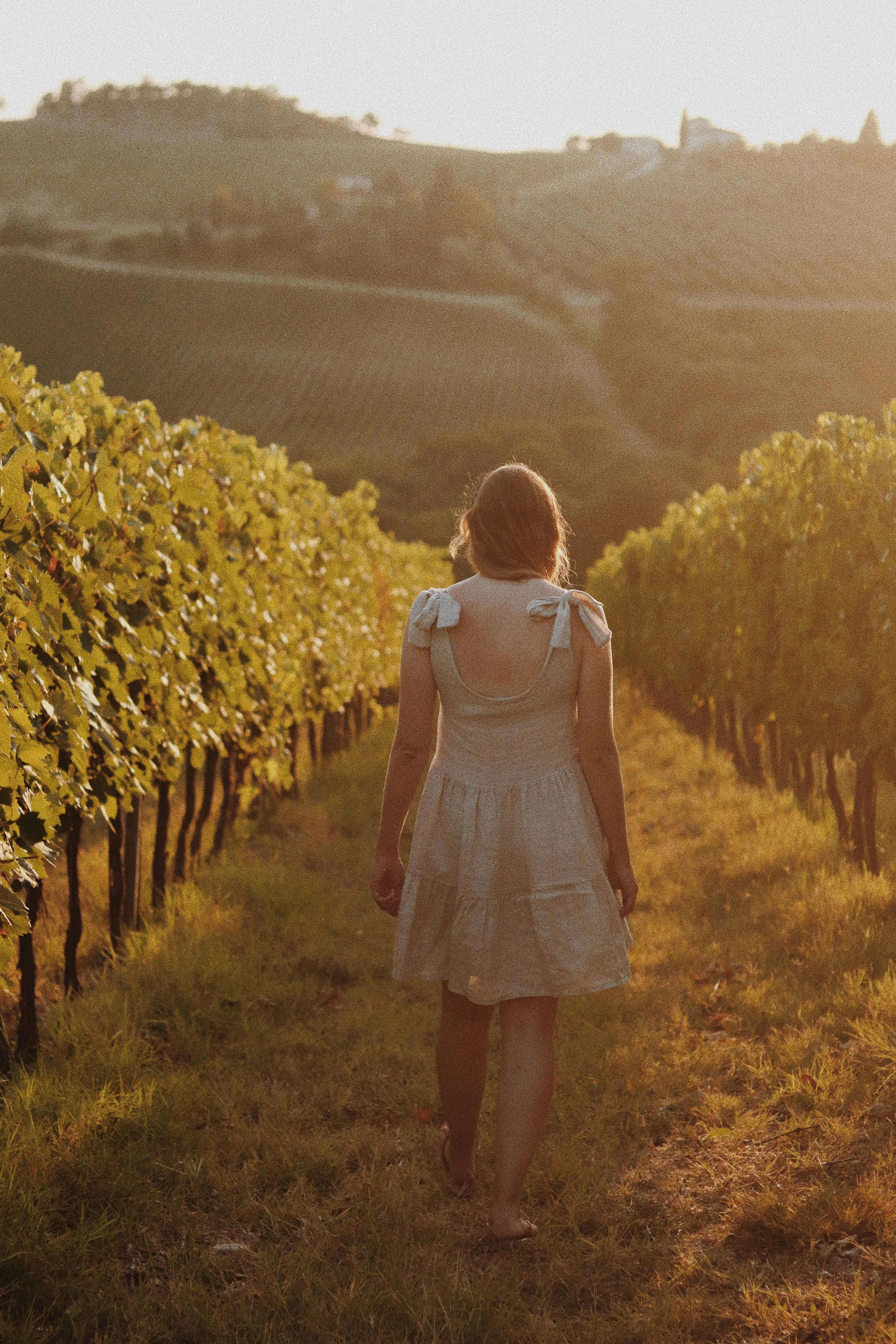 Woman walking through a golden vineyard at sunset