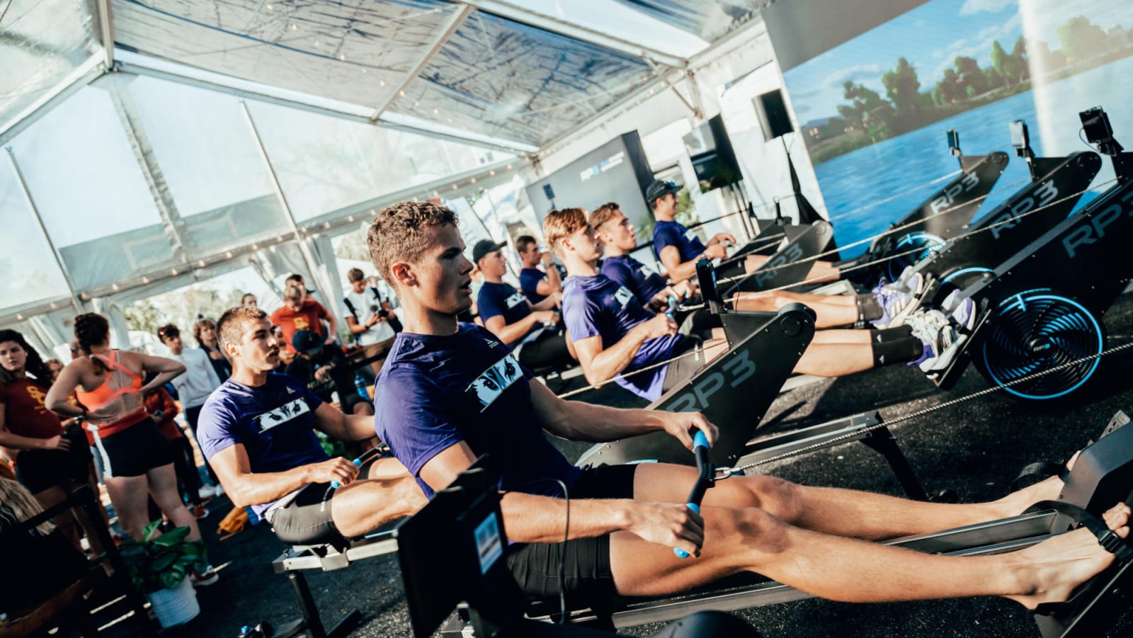 Professional rowing crew training in Rowcave