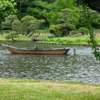 Main pond