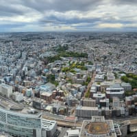 A view from the tower